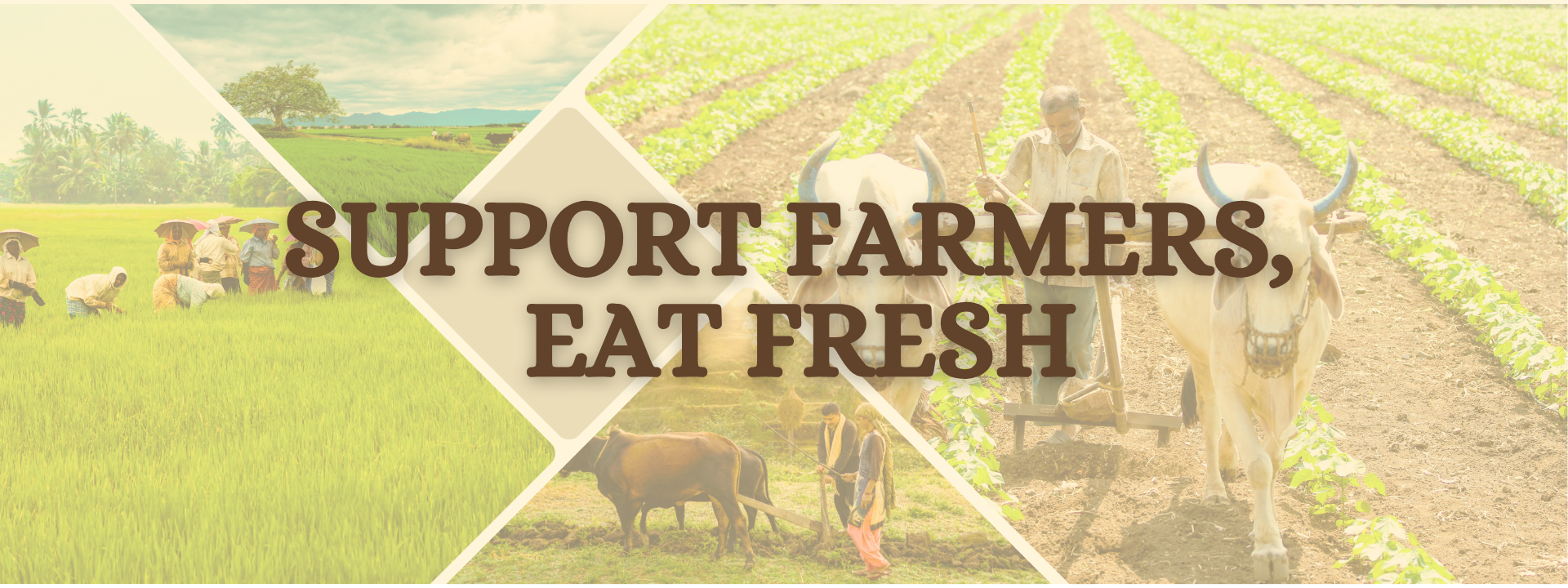 farmer banner